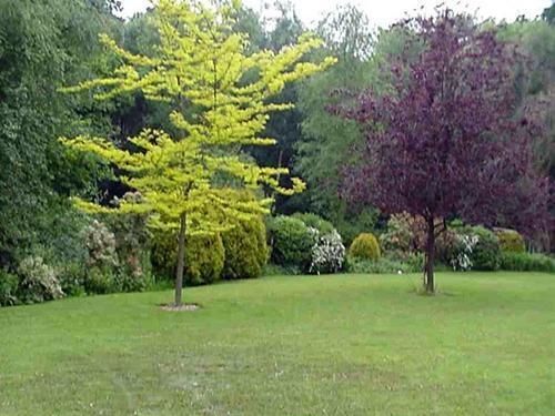 Linchens Bed And Breakfast Felbridge Экстерьер фото